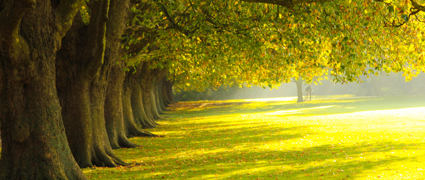 Cambridge named greenest city to invest in