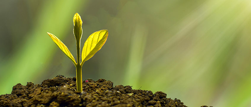 Nurturing the new: the need to deliver affordable regional workspace