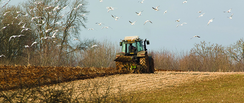 Rural View: Steady as a rock?