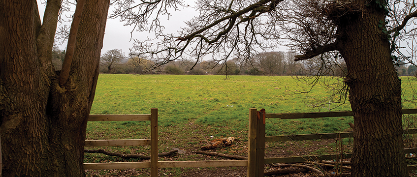 Public rights over community recreation land