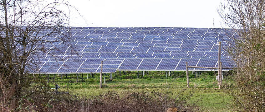 Solar farm. Photo © Maureen McLean/Shutterstock