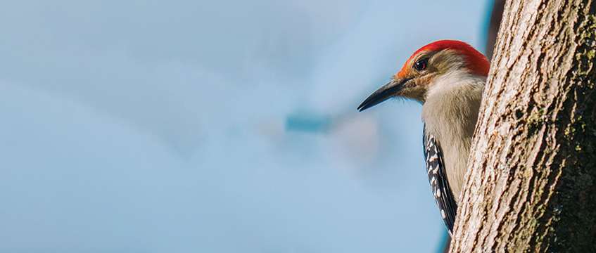 Rural View: What price biodiversity?