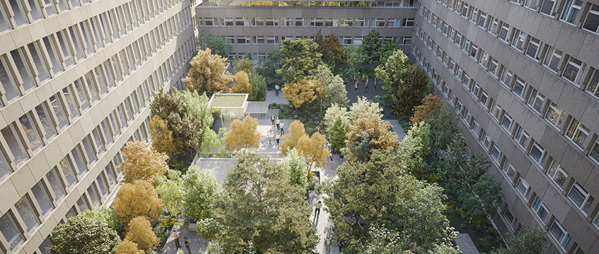 Lazari gets go-ahead for Maple House remodel