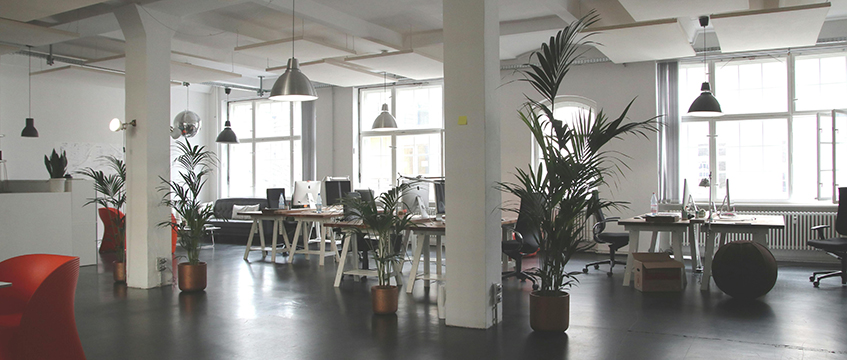 Flex office. Photo © Marc Mueller Pexels