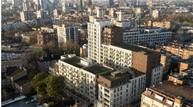 Dolphin Living appoints Hill to New Era