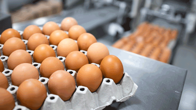 Court of Appeal weighs taxable status of egg packers
