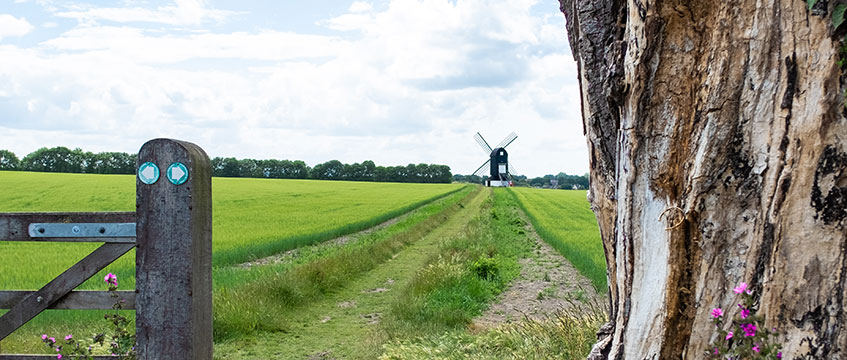 Property rights: a wake-up call