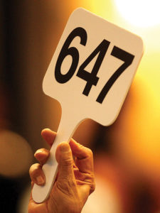 Auctions-paddle