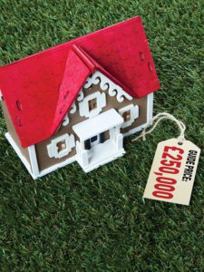 Toy-house-guide-price